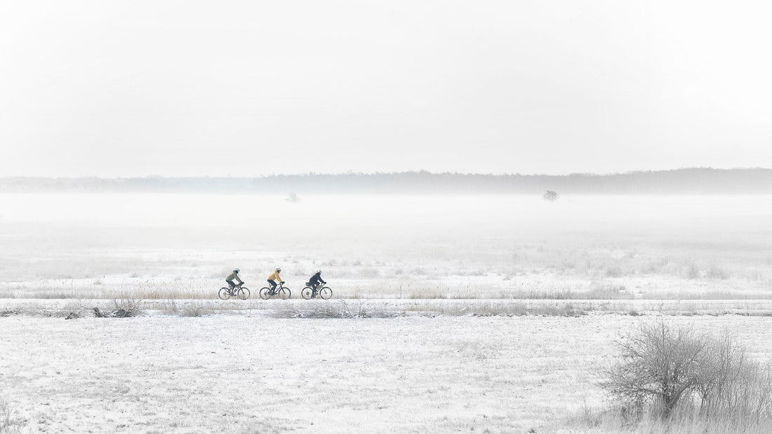 the gentle rebellion