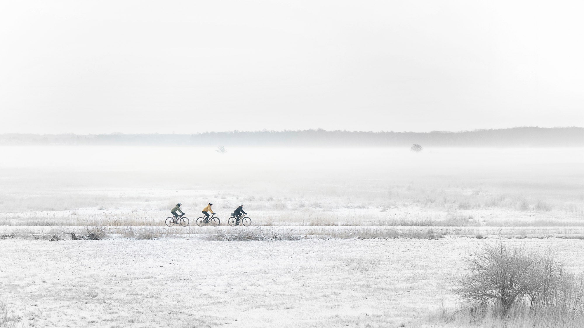 the gentle rebellion